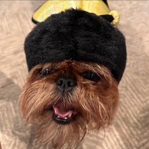 Meet your Posher, Wendy